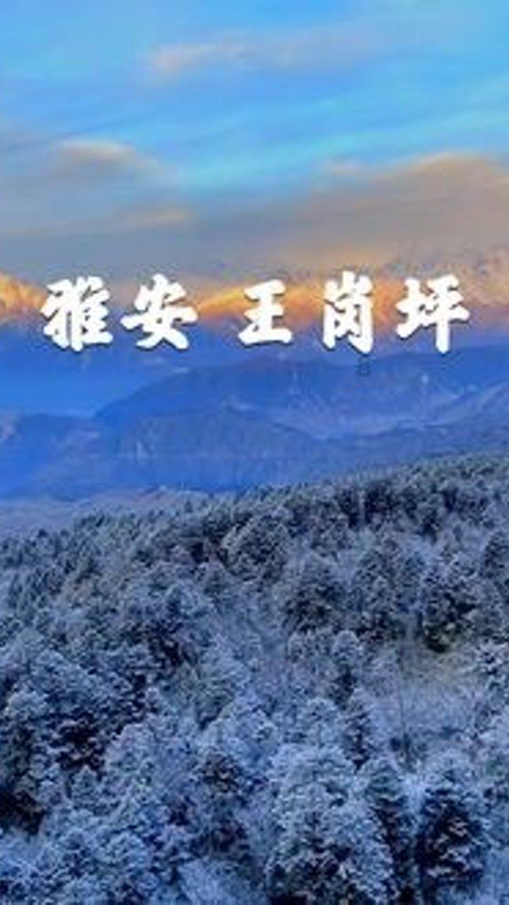 复仇机器人中文版